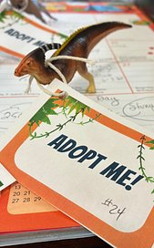 Click on the dinosaur image to go to the Adopt-A-Dino page and learn more about the program