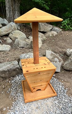 Click on the harp image to open a video of pebbles making natural music