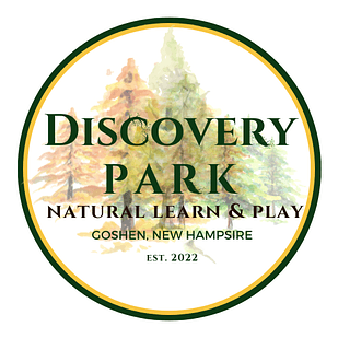 Discovery Park Logo